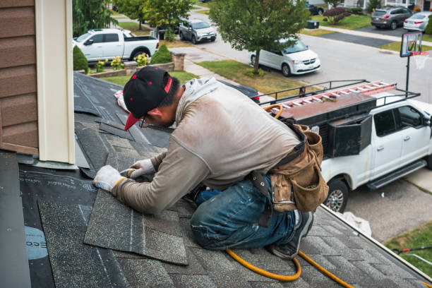 Professional Storm Damage Roof Repair technician working in Hampton, IL